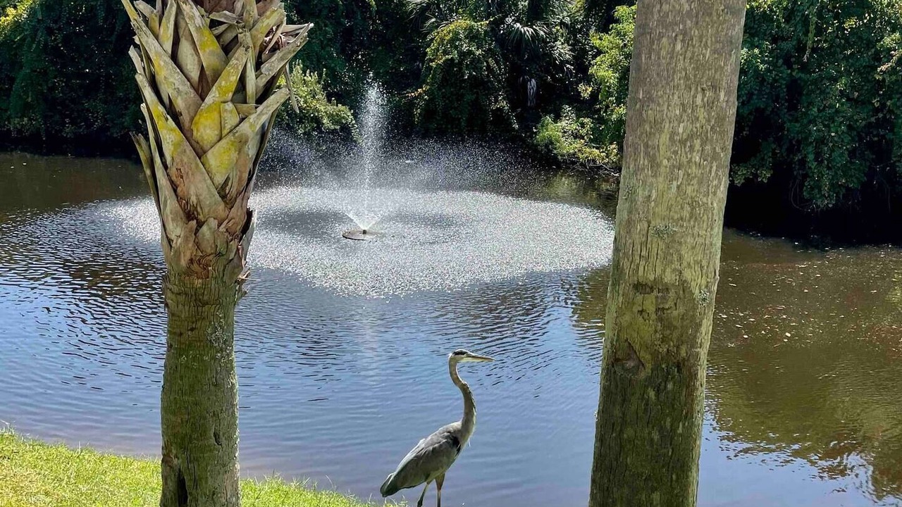 Photo of Outdoor in Summer Breeze