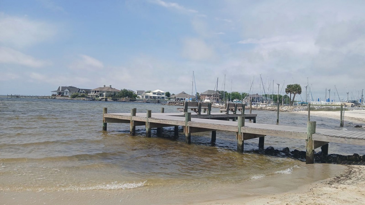 Photo of Others in South Pensacola