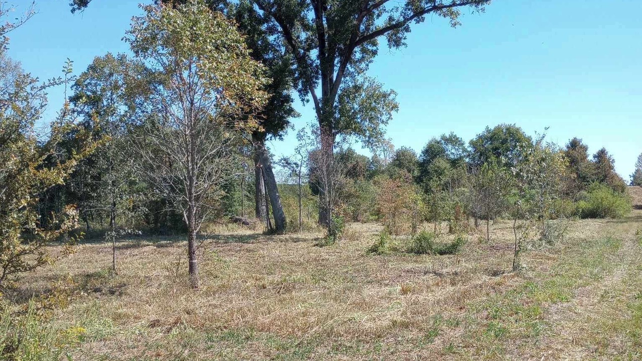 Photo of Others in Yorktown