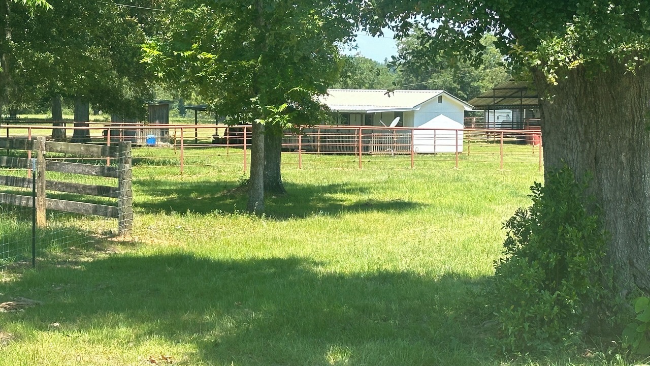 Photo of Outdoor in Sneads