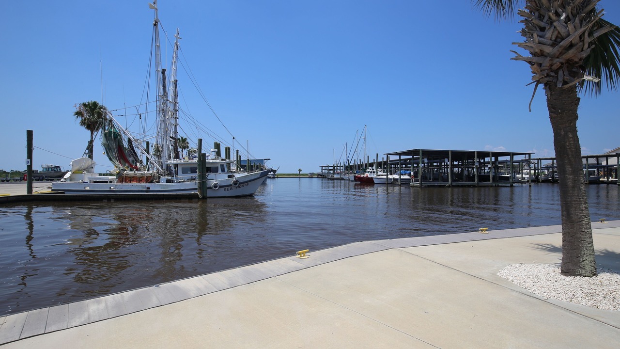 Photo of Others in Sabine Pass