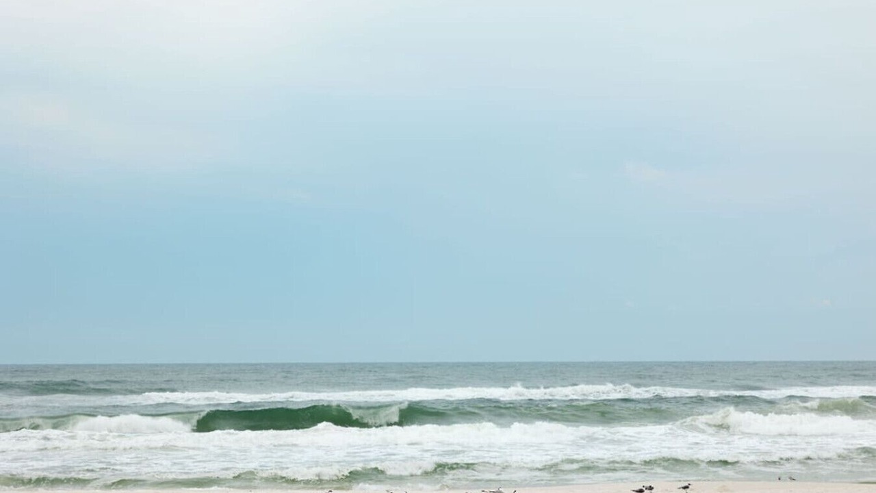Photo of Others in Laguna Beach