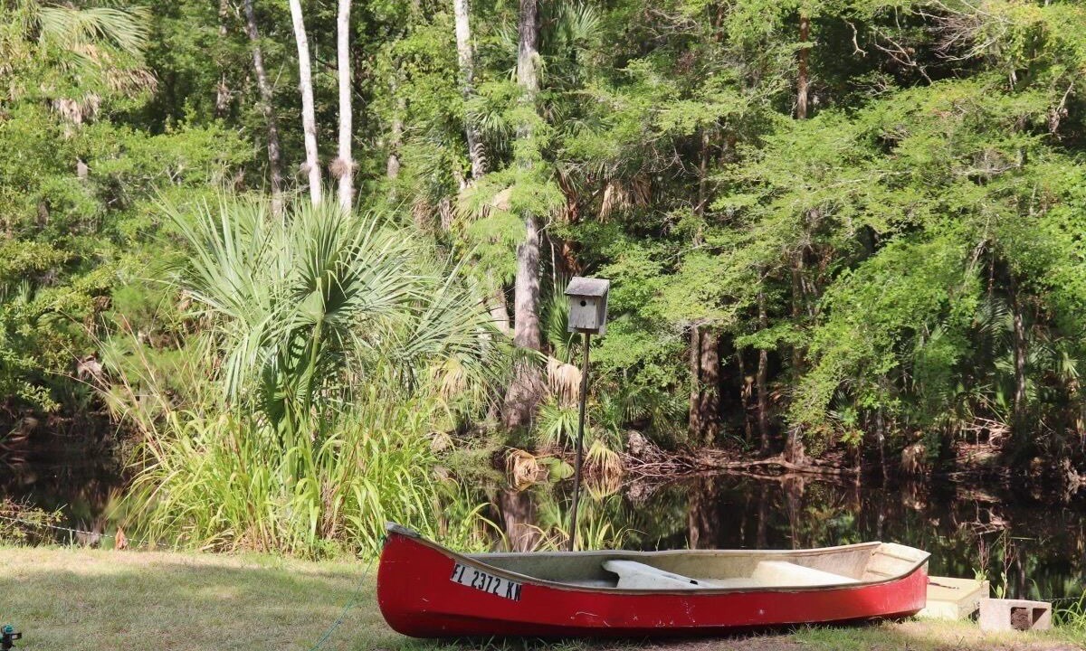 Photo of Outdoor in Steinhatchee