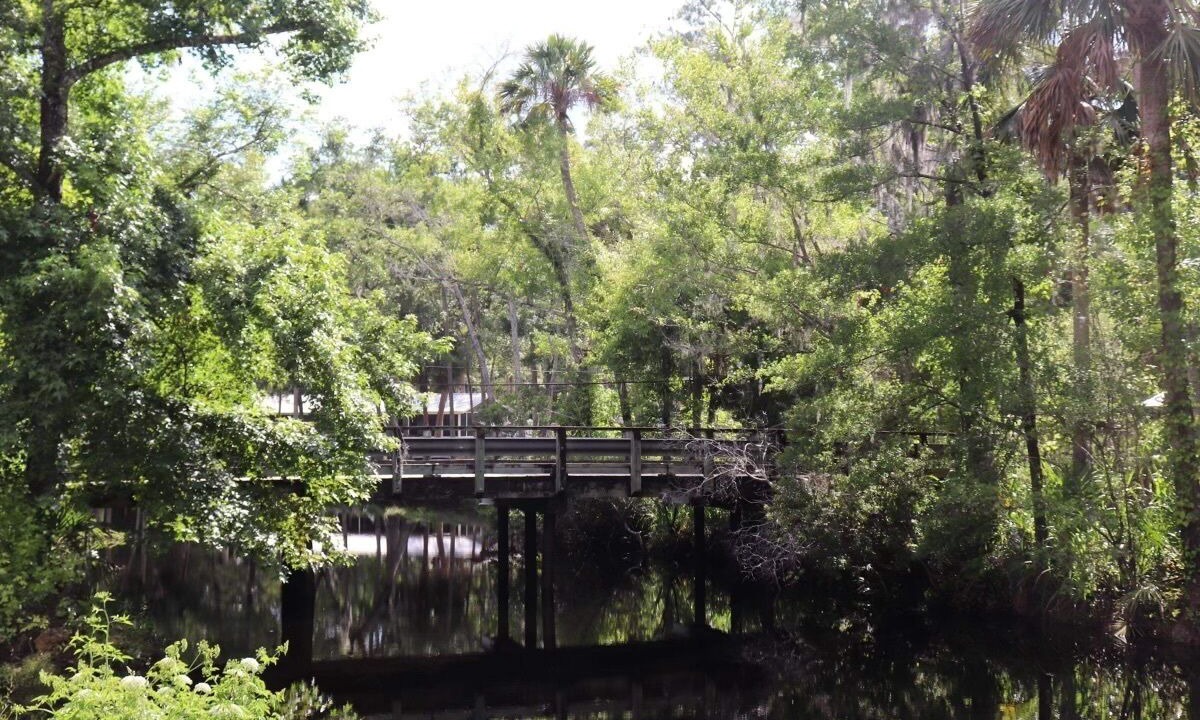 Photo of Others in Steinhatchee