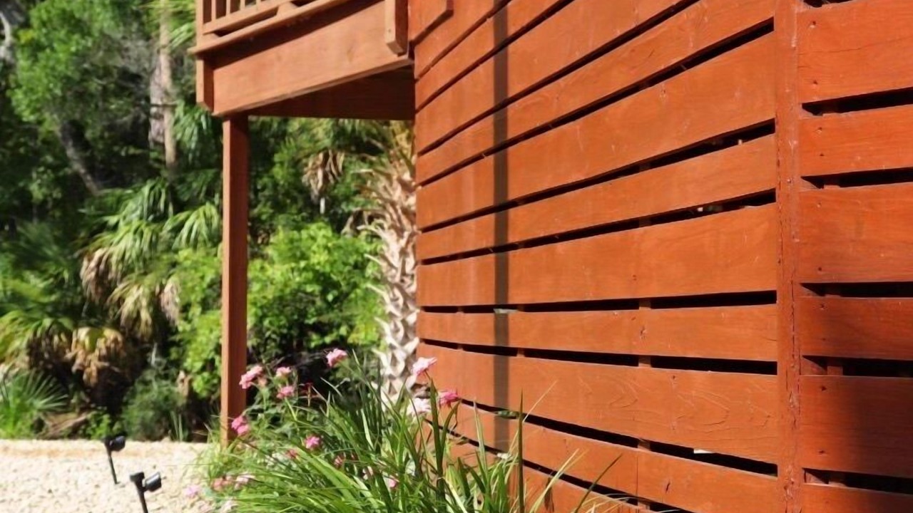 Photo of Outdoor in Steinhatchee
