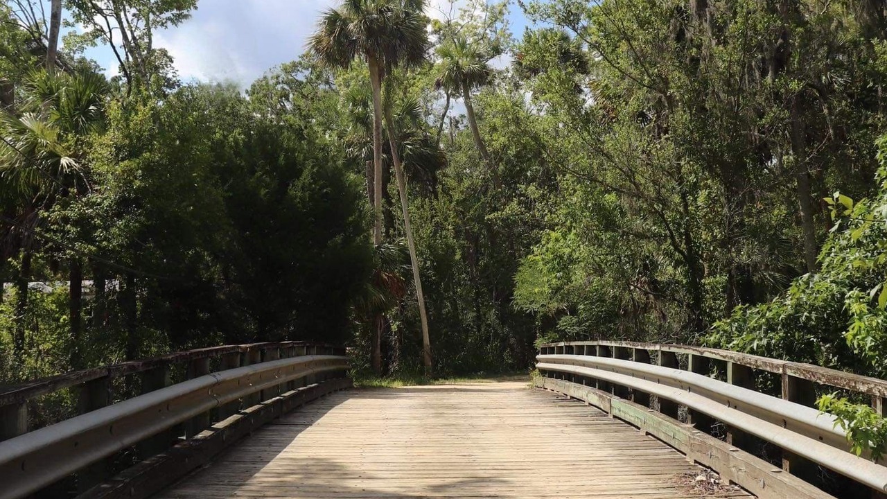 Photo of Outdoor in Steinhatchee