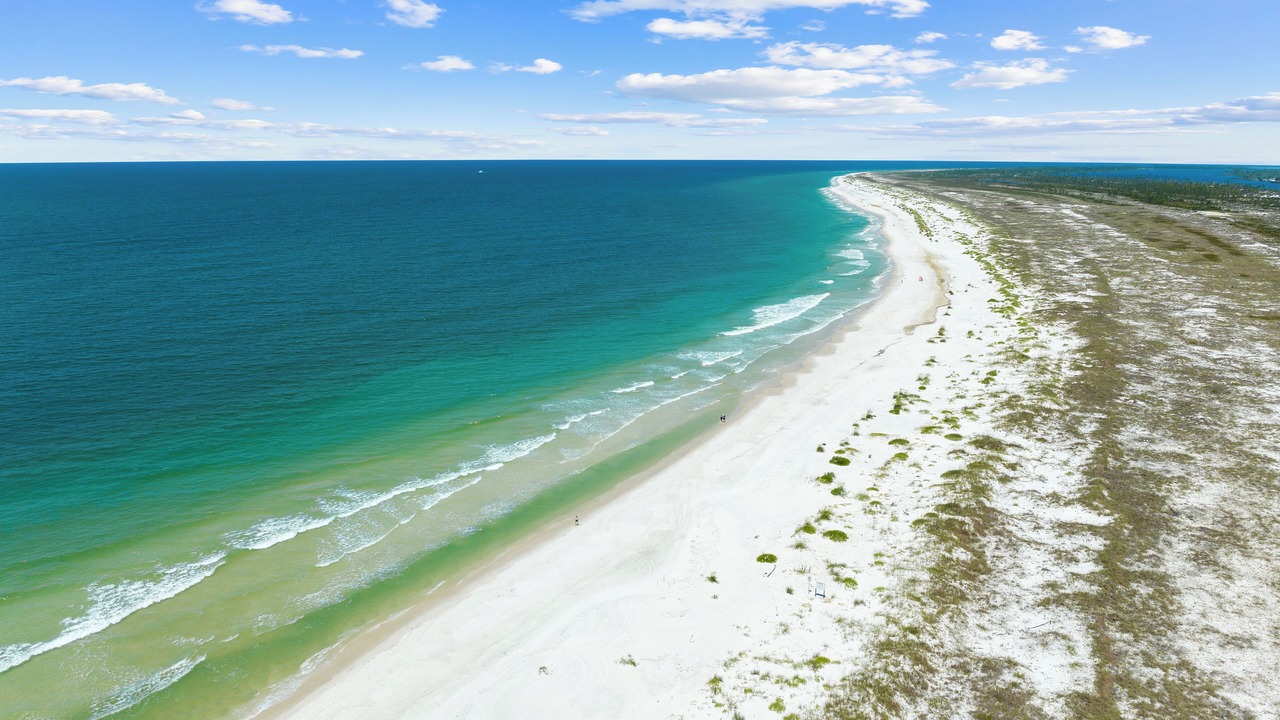 Photo of Others in Bay County
