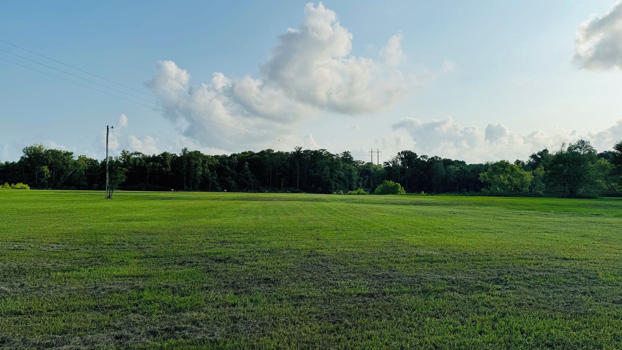 Photo of Others in Vancleave