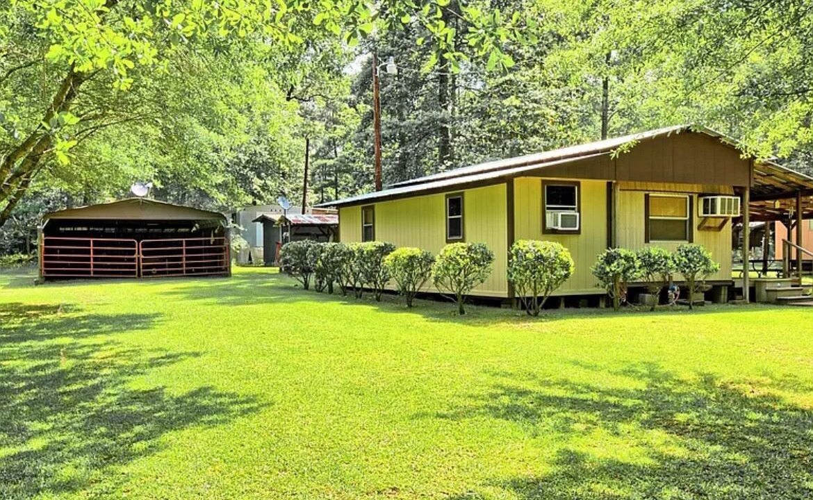 Photo of Outdoor in Hemphill