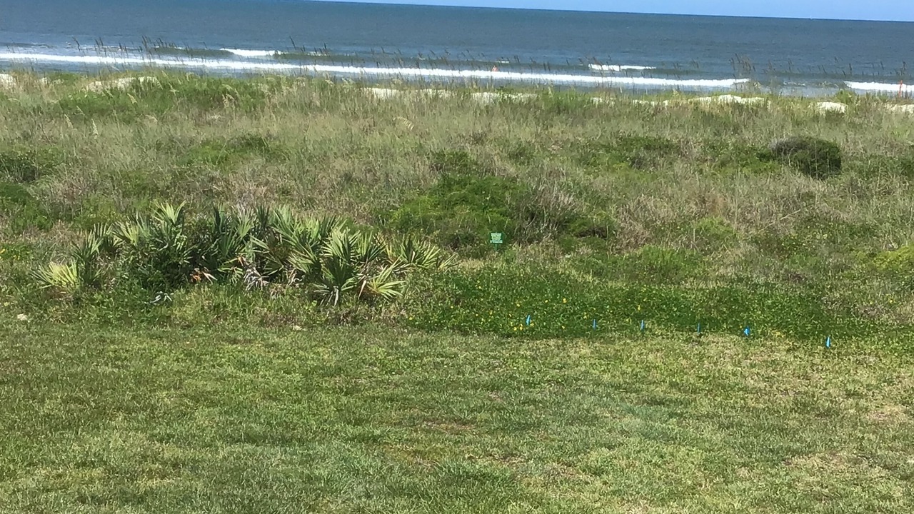 Photo of Others in Vilano Beach