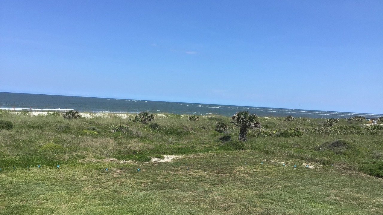 Photo of Others in Vilano Beach