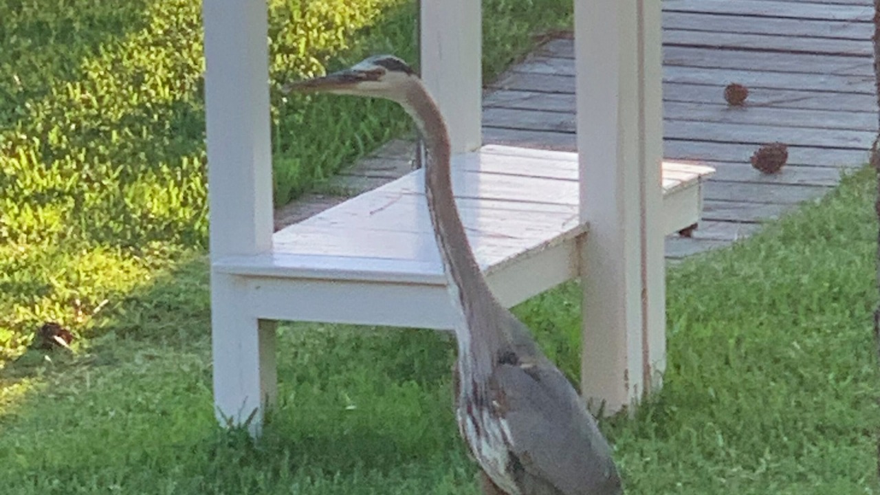 Photo of Outdoor in Fort Walton Beach