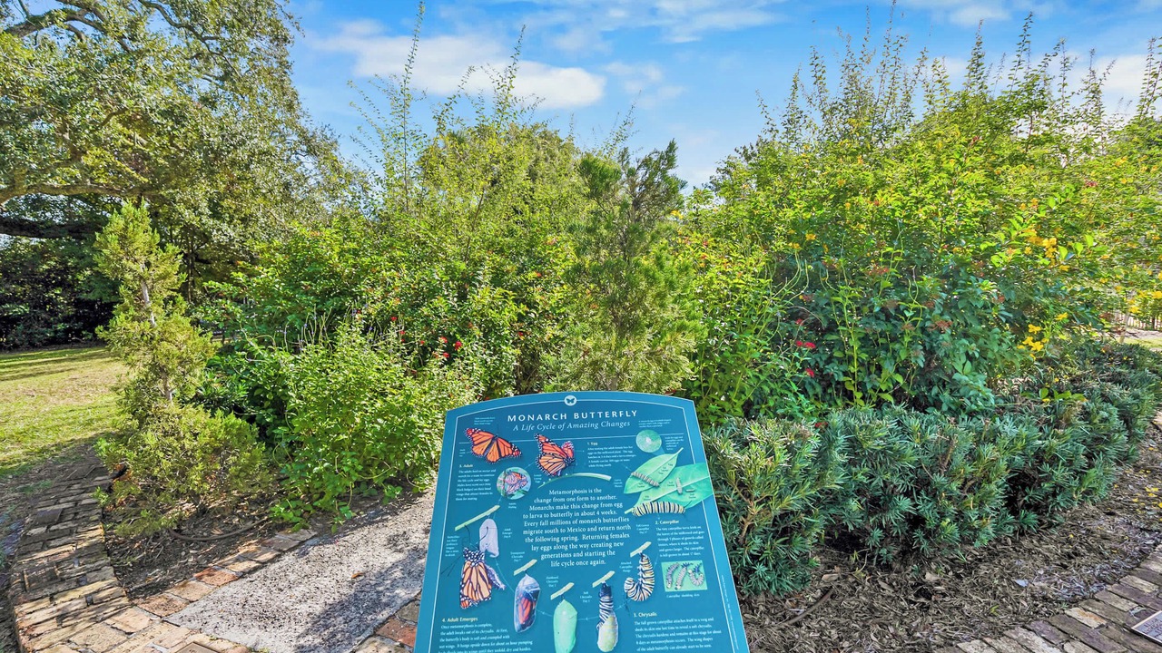 Photo of Outdoor in San Marco