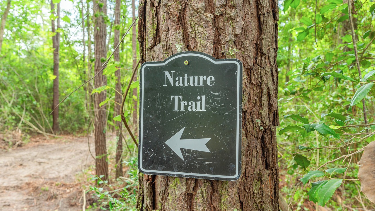 Photo of Outdoor in Holmes County