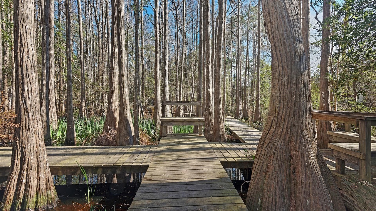 Photo of Outdoor in Cliffs of Seagrove