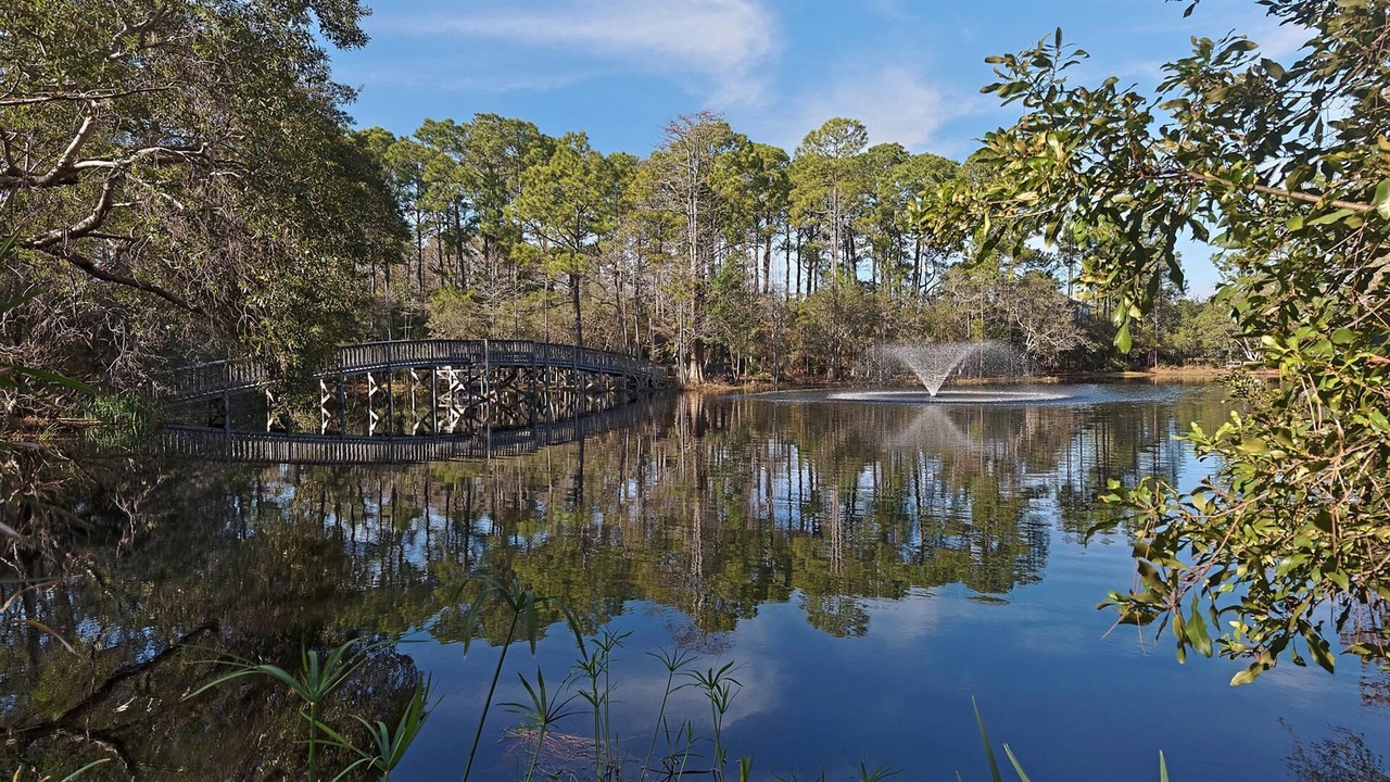 Photo of Others in Cliffs of Seagrove