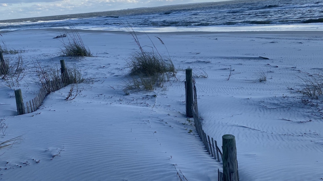 Photo of Others in Mexico Beach