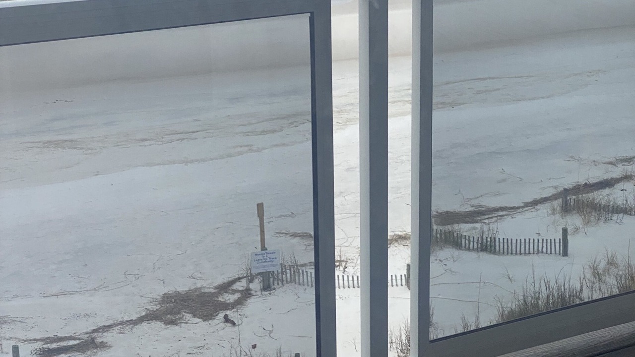 Photo of Outdoor in Mexico Beach