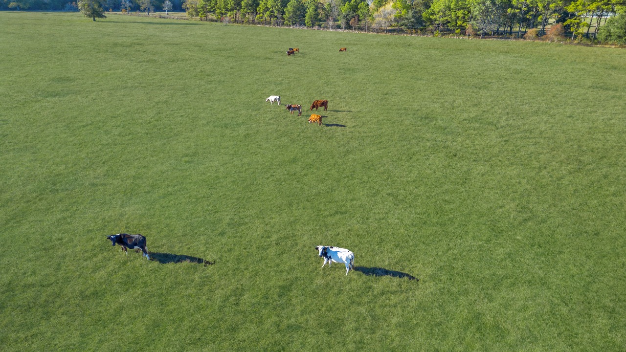 Photo of Outdoor in Voth