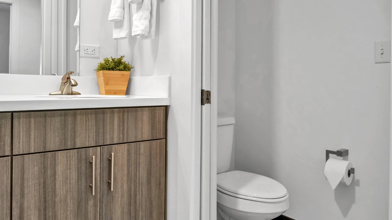 Photo of Bathroom in Zephyrhills