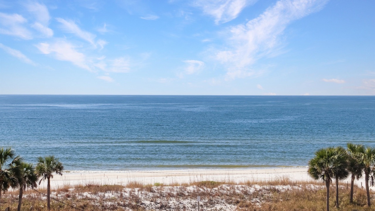 Photo of Others in Mexico Beach