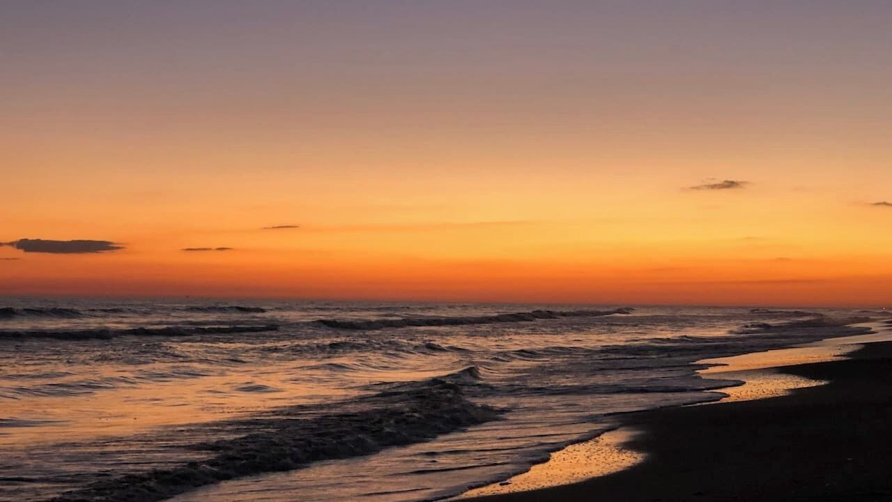 Photo of Others in Holly Beach