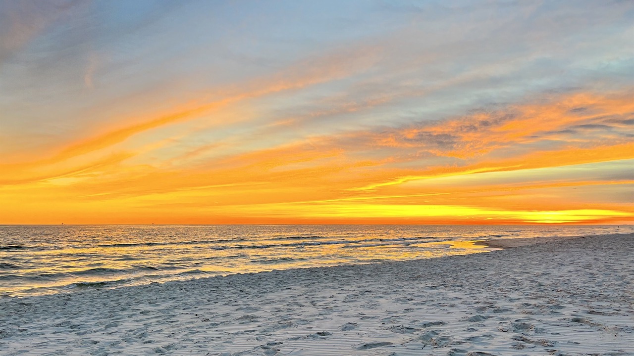 Photo of Others in Dauphin Island