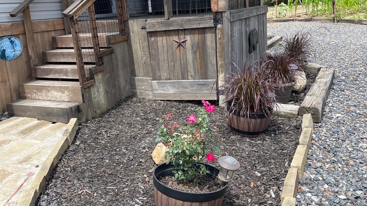 Photo of Outdoor in Smithville