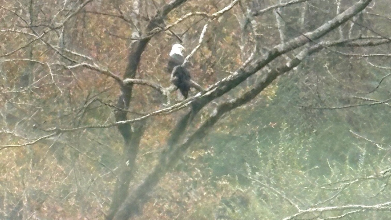 Photo of Others in Smithville