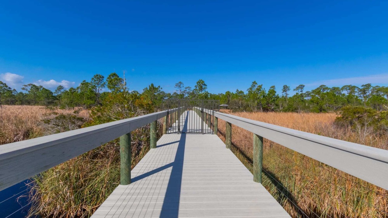 Photo of Outdoor in Orange Beach
