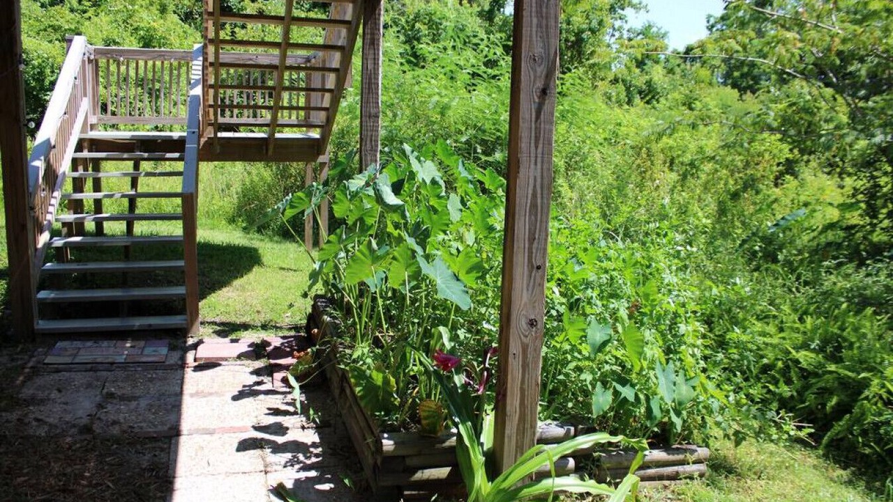 Photo of Outdoor in Panama City
