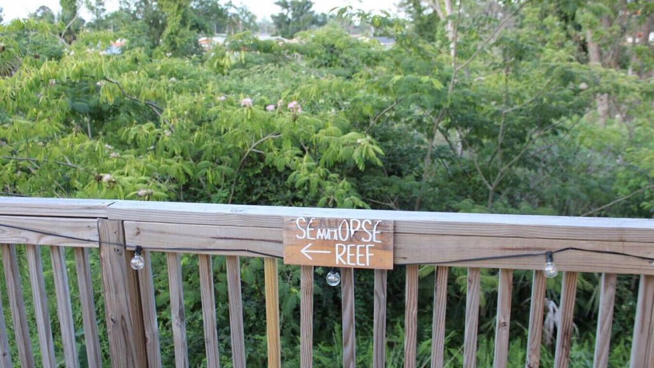 Photo of Outdoor in Panama City