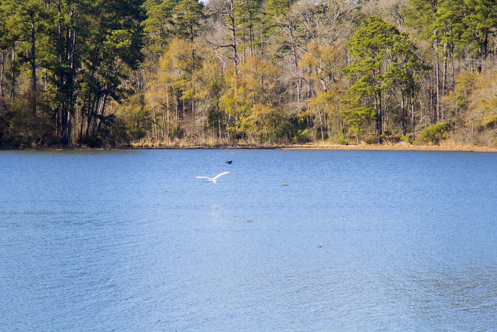 Photo of Others in Sulphur
