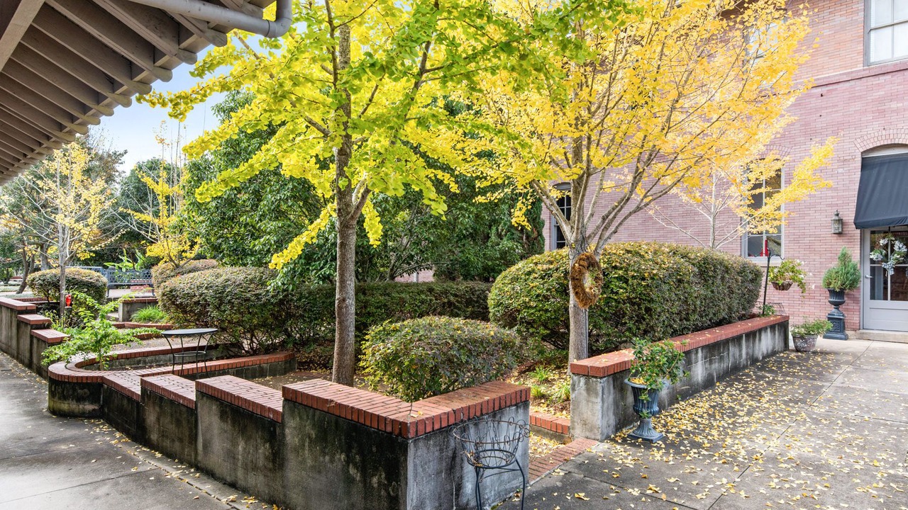 Photo of Outdoor in Natchez