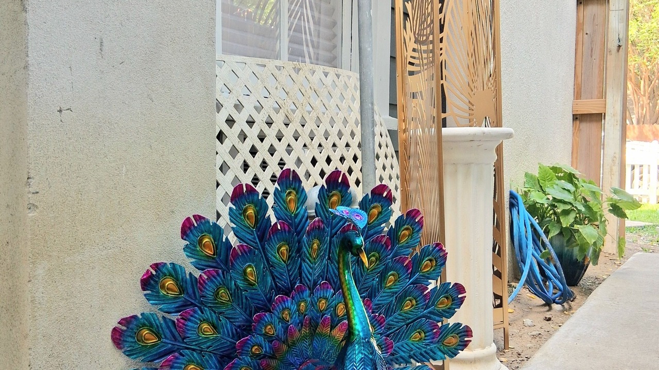 Photo of Outdoor in Broadmoor