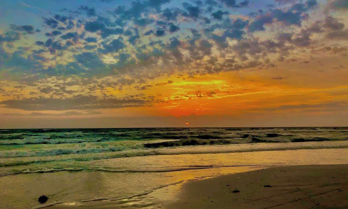 Photo of Others in Siesta Key