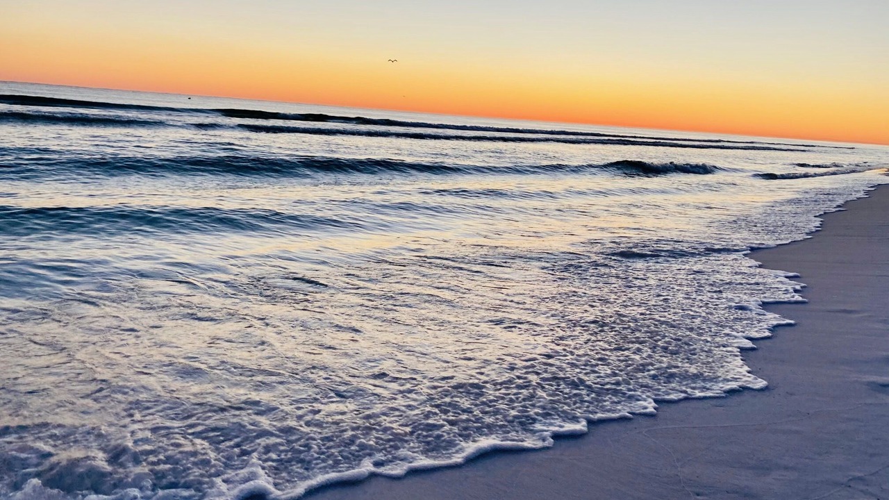 Photo of Others in Frangista Beach