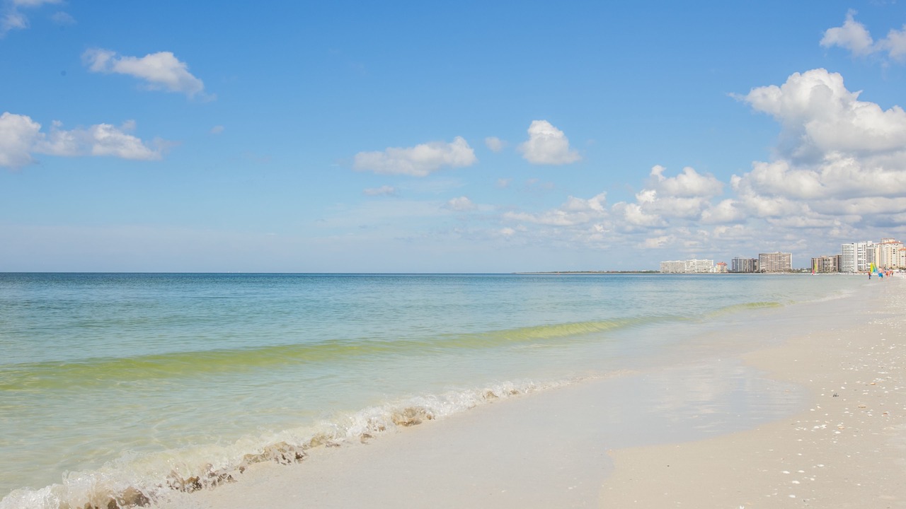 Photo of Others in Marco Island