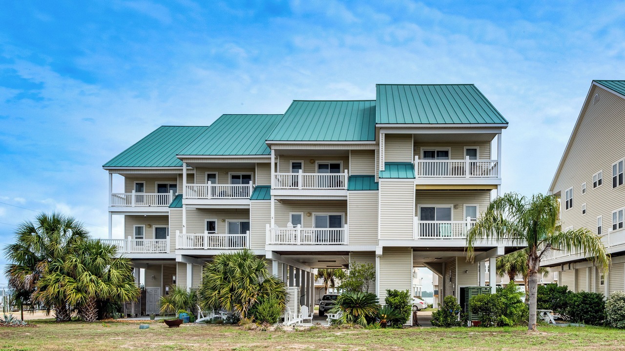Photo of Outdoor in Alligator Point