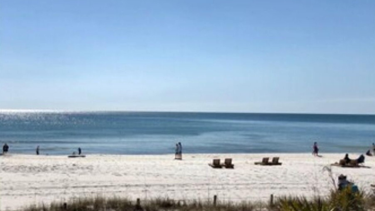Photo of Others in El Centro Beach