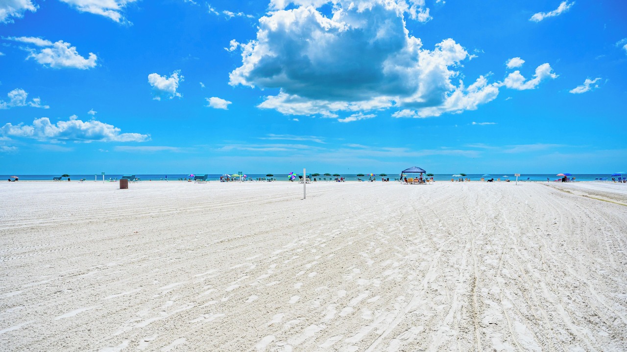 Photo of Others in Siesta Key