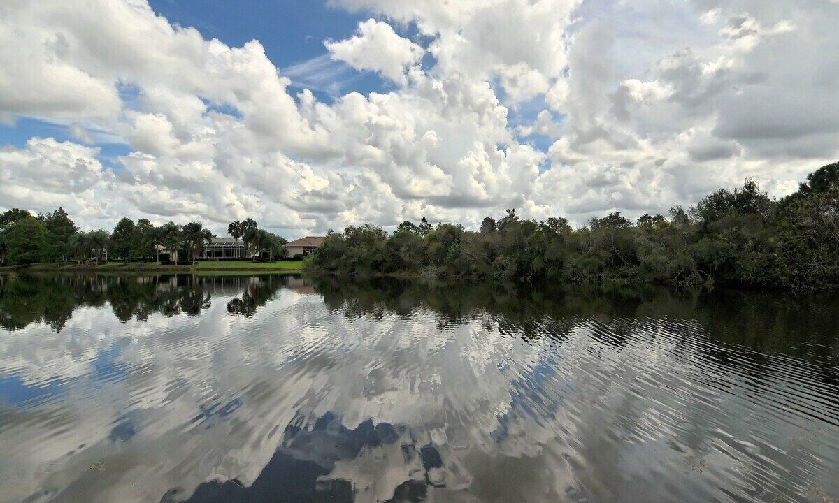 Photo of Others in Braden River