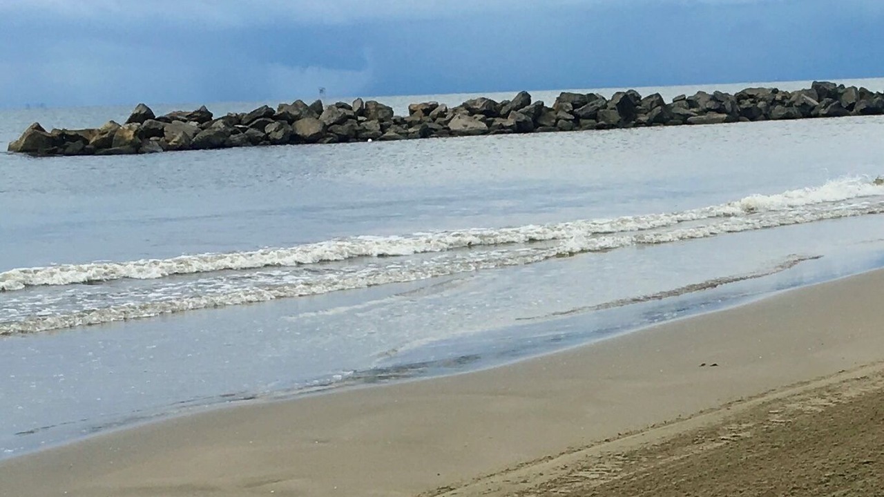 Photo of Others in Grand Isle