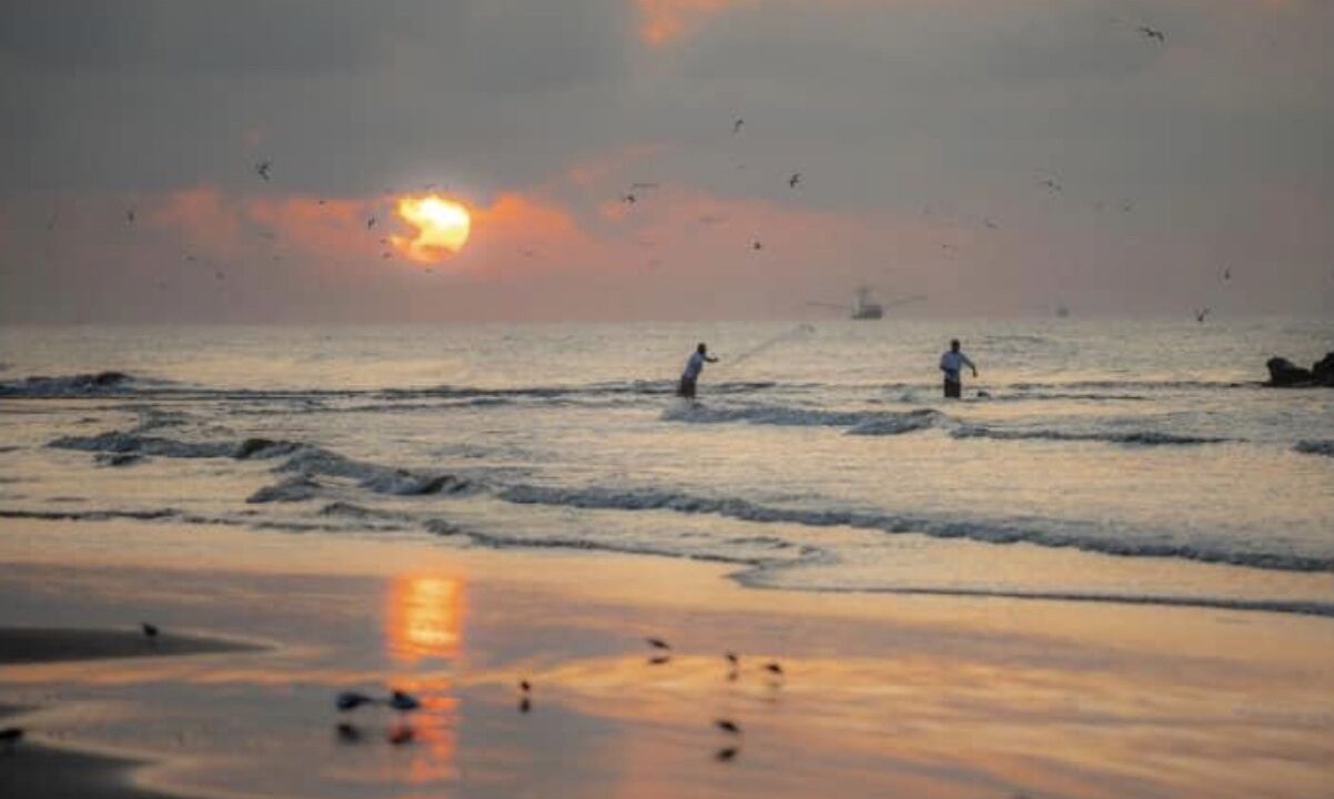 Photo of Others in Grand Isle