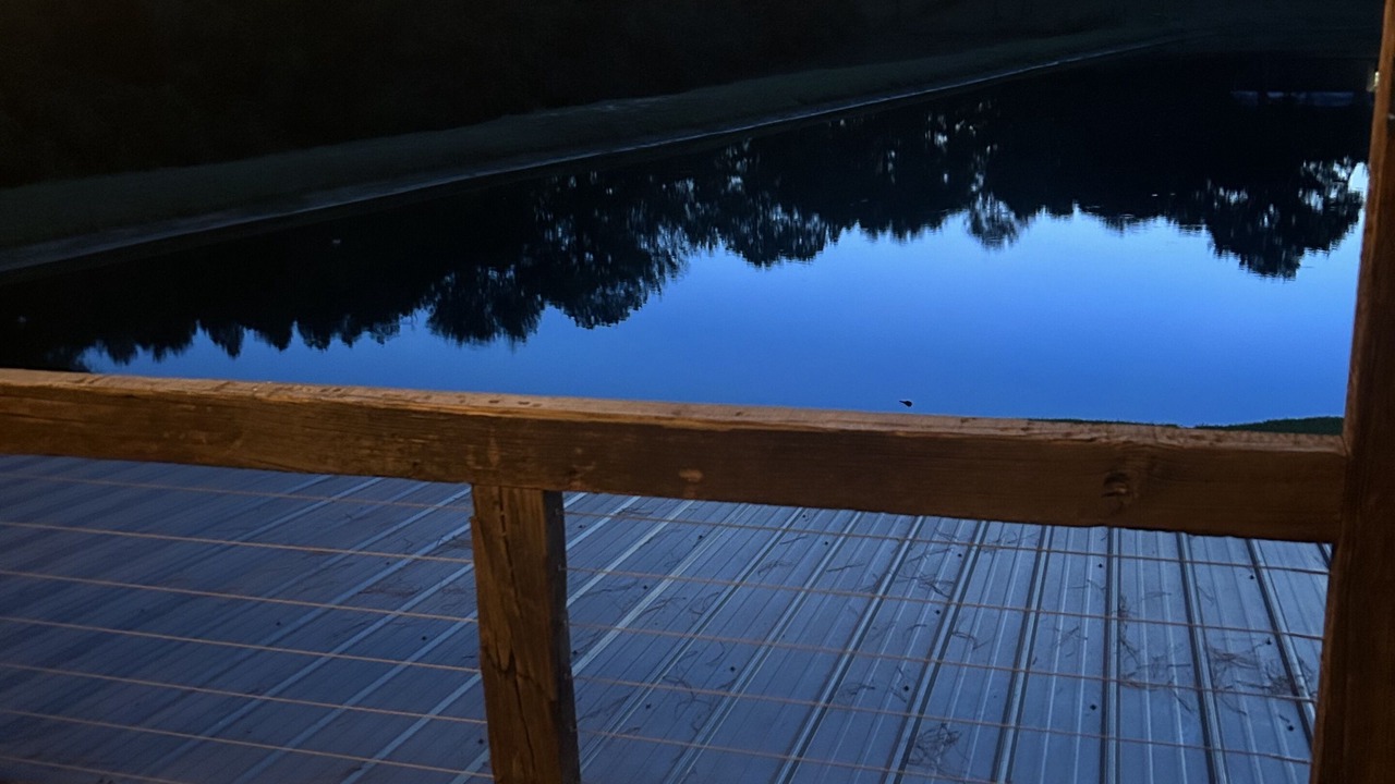 Photo of Outdoor in Pelahatchie