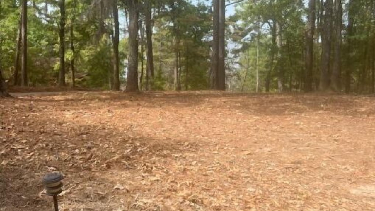 Photo of Outdoor in Negreet