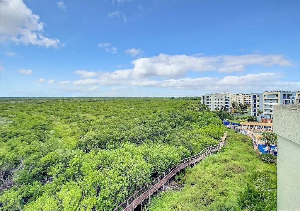 Photo of Outdoor in New Smyrna Beach