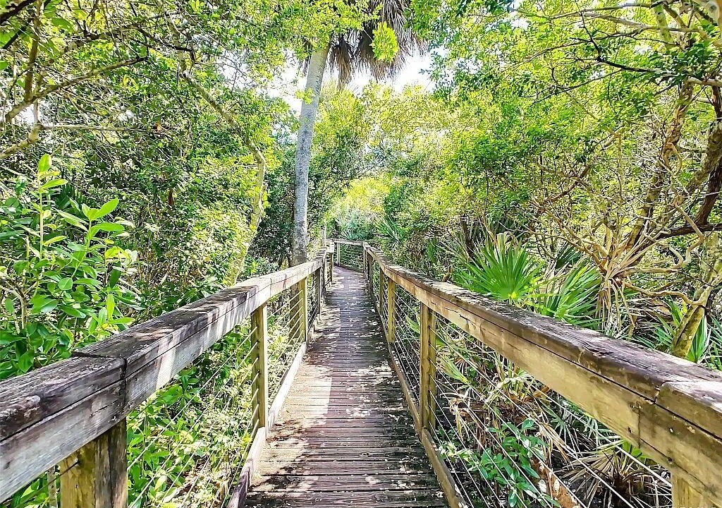 Photo of Outdoor in New Smyrna Beach