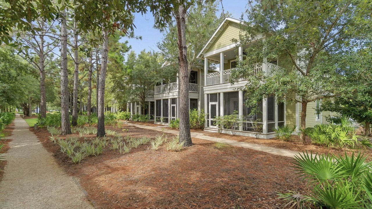 Photo of Outdoor in Forest District