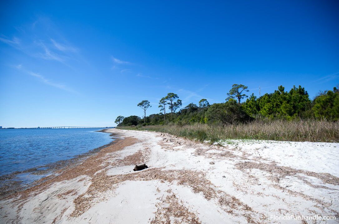 Photo of Others in Gulf Breeze